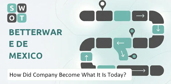 How Did Betterware de Mexico Company Become What It Is Today?
