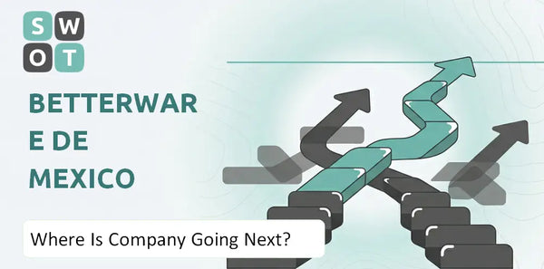 Where Is Betterware de Mexico Company Going Next?