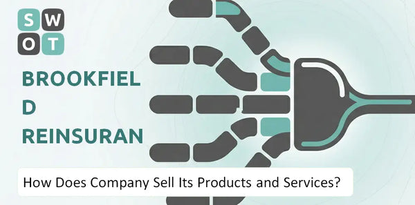 How Does Brookfield Reinsurance Company Sell Its Products and Services?