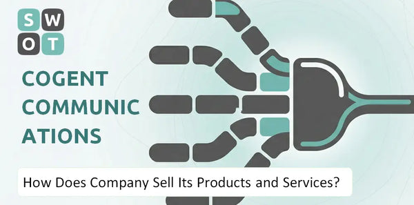 How Does Cogent Communications Company Sell Its Products and Services?