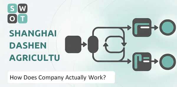 How Does Shanghai Dashen Agriculture Finance Technology Company Actually Work?