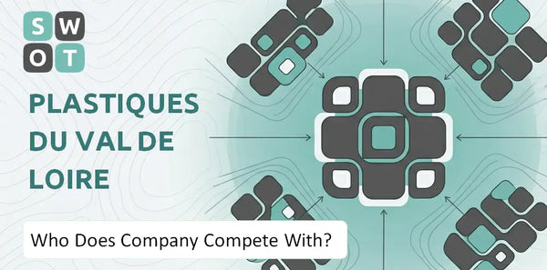 Who Does Plastiques du Val de Loire Company Compete With?