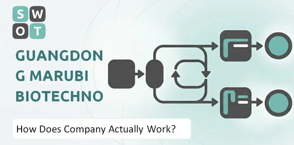 How Does Guangdong Marubi Biotechnology Company Actually Work?