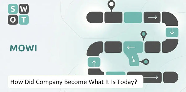 How Did Mowi Company Become What It Is Today?