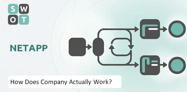 How Does NetApp Company Actually Work?
