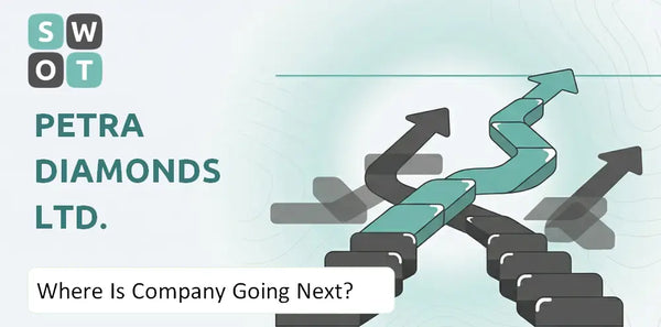 Where Is Petra Diamonds Ltd. Company Going Next?