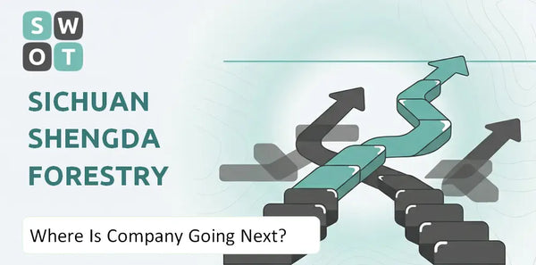 Where Is Sichuan Shengda Forestry Industry Co. Company Going Next?