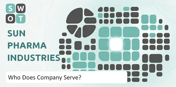 Who Does Sun Pharma Industries Company Serve?