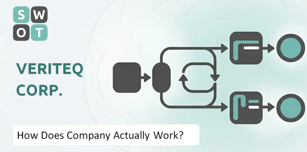 How Does VeriTeQ Corp. Company Actually Work?