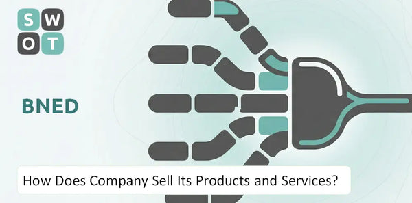 How Does BNED Company Sell Its Products and Services?