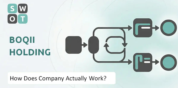 How Does Boqii Holding Company Actually Work?
