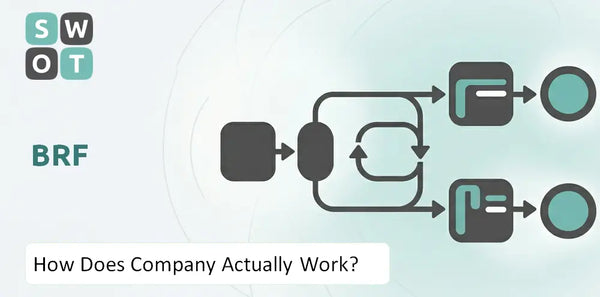 How Does BRF Company Actually Work?