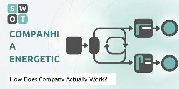 How Does Companhia Energetica de Minas Gerais Company Actually Work?