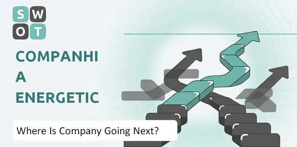 Where Is Companhia Energetica de Minas Gerais Company Going Next?