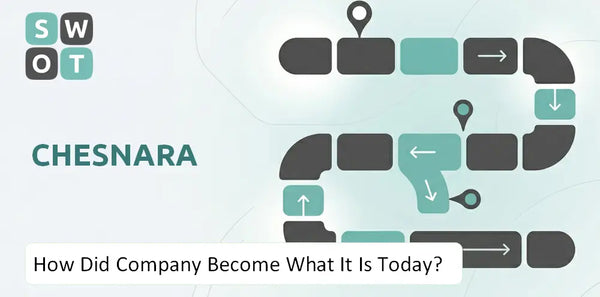 How Did Chesnara Company Become What It Is Today?