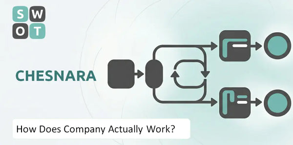 How Does Chesnara Company Actually Work?