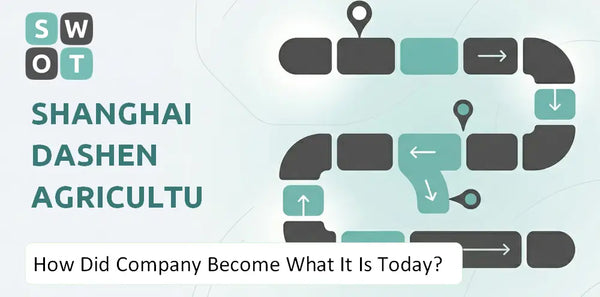 How Did Shanghai Dashen Agriculture Finance Technology Company Become What It Is Today?