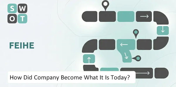 How Did Feihe Company Become What It Is Today?