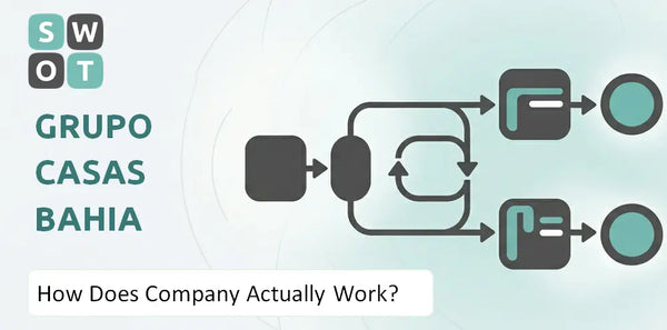 How Does Grupo Casas Bahia Company Actually Work?