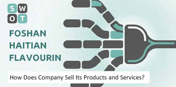 How Does Foshan Haitian Flavouring and Food Company Sell Its Products and Services?