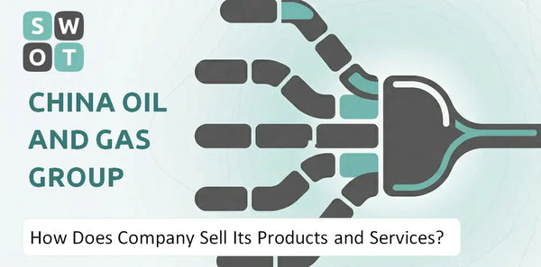 How Does China Oil And Gas Group Company Sell Its Products and Services?