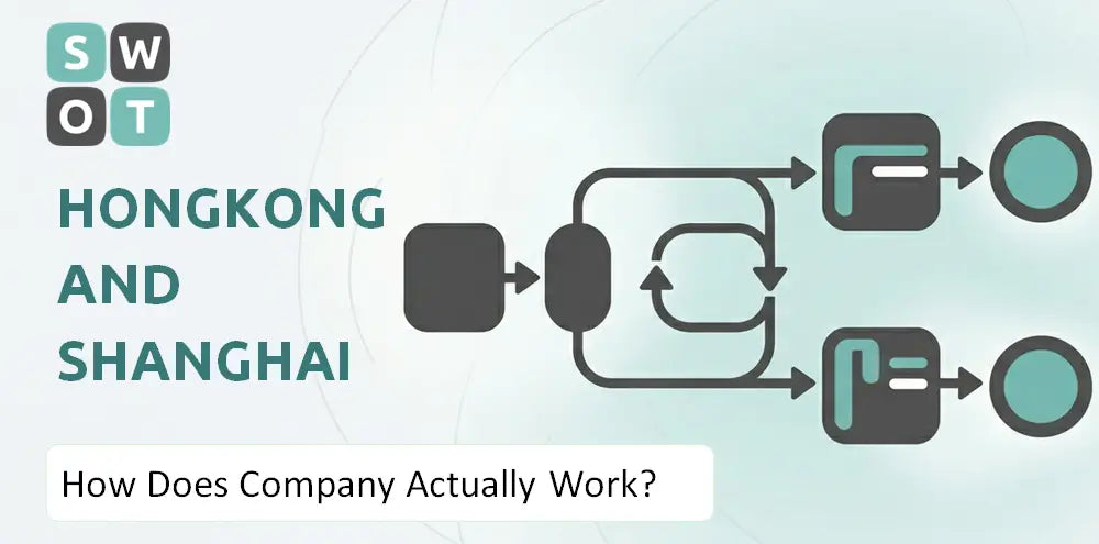 Hshgroup Company How It Runs