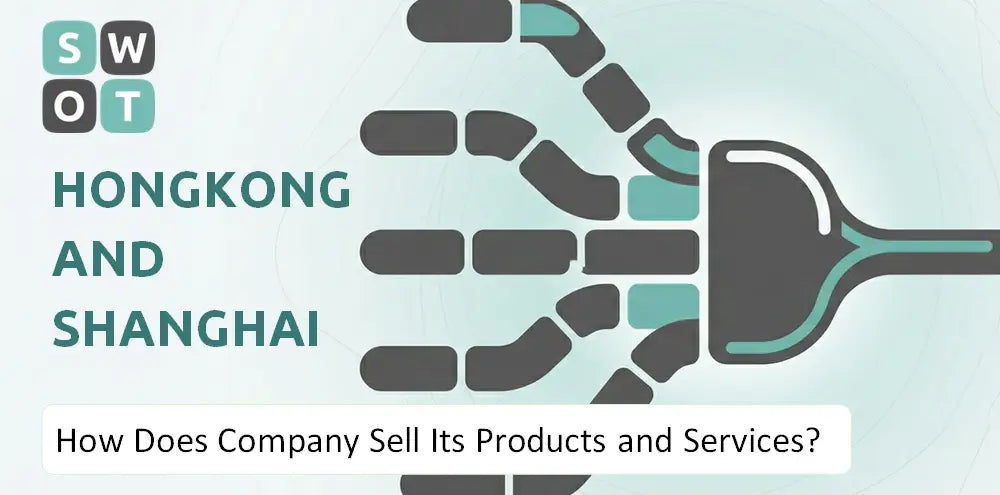 Hshgroup Company How It Sells