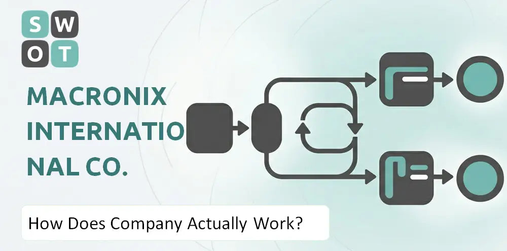 Macronix Company How It Runs