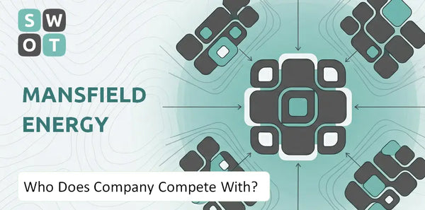 Who Does Mansfield Energy Company Compete With?