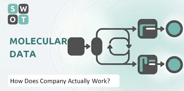 How Does Molecular Data Company Actually Work?