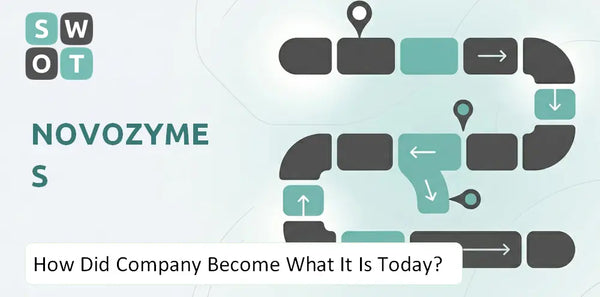 How Did Novozymes Company Become What It Is Today?