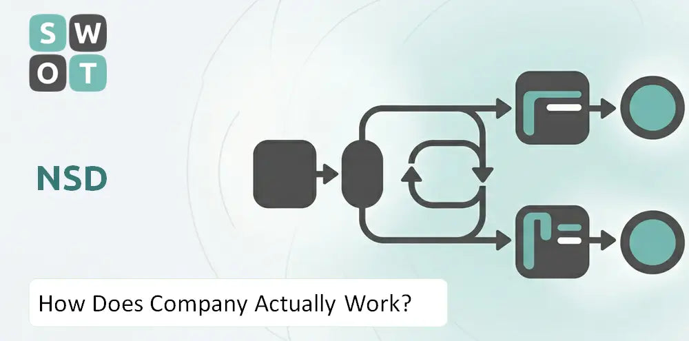 Nsd Company How It Runs