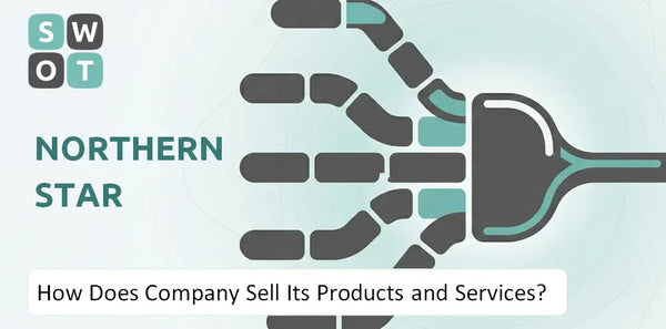 How Does Northern Star Company Sell Its Products and Services?