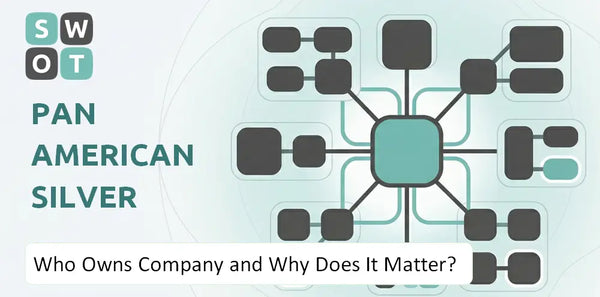 Who Owns Pan American Silver Company and Why Does It Matter?