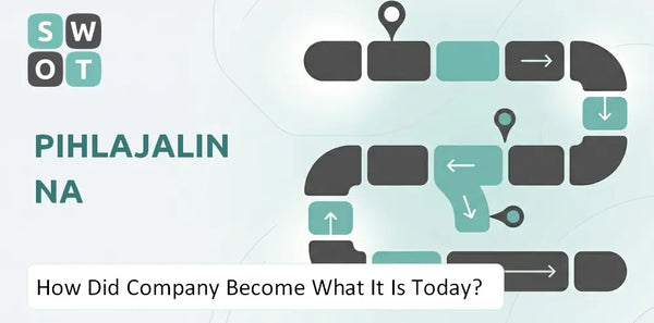 How Did Pihlajalinna Company Become What It Is Today?
