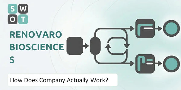 How Does Renovaro Biosciences Company Actually Work?