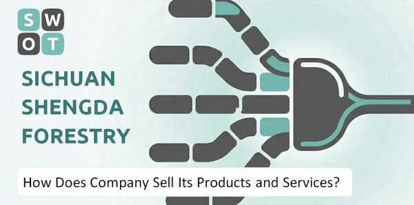 How Does Sichuan Shengda Forestry Industry Co. Company Sell Its Products and Services?