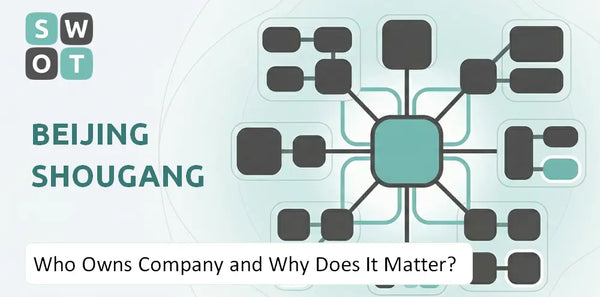 Who Owns Beijing Shougang Company and Why Does It Matter?