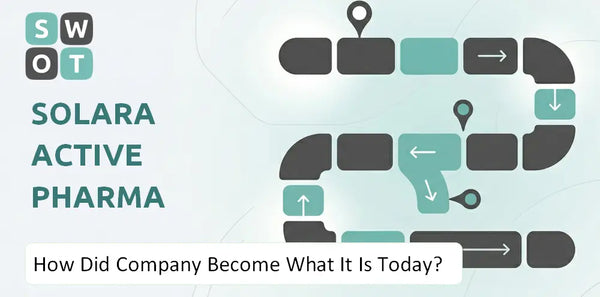 How Did Solara Active Pharma Sciences Company Become What It Is Today?