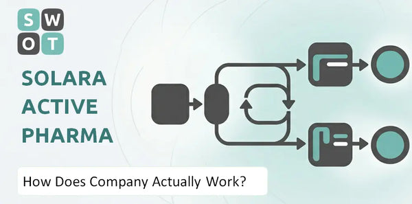 How Does Solara Active Pharma Sciences Company Actually Work?