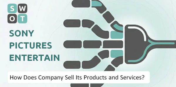 How Does Sony Pictures Entertainment Inc. Company Sell Its Products and Services?