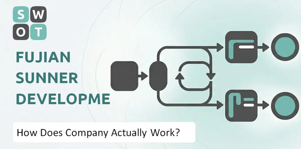 How Does Fujian Sunner Development Company Actually Work?