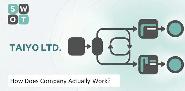 How Does Taiyo Ltd. Company Actually Work?