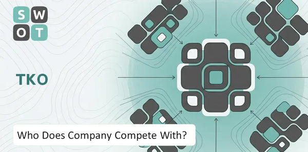 Who Does TKO  Company Compete With?