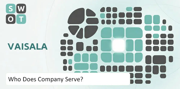 Who Does Vaisala Company Serve?
