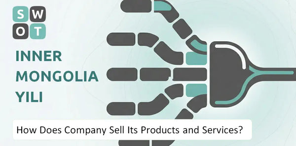 How Does Inner Mongolia Yili Company Sell Its Products and Services?