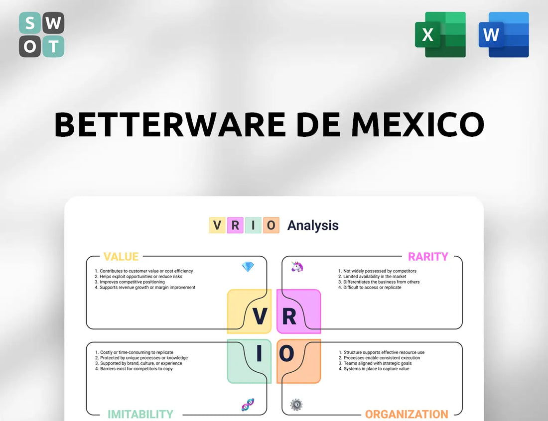Betterware de Mexico VRIO Analysis