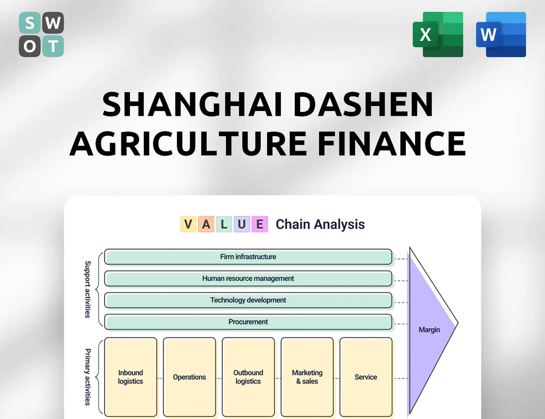 Shanghai Dashen Agriculture Finance Technology Value Chain Analysis