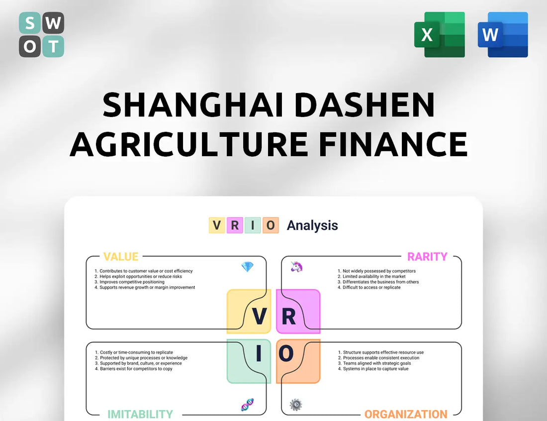 Shanghai Dashen Agriculture Finance Technology VRIO Analysis