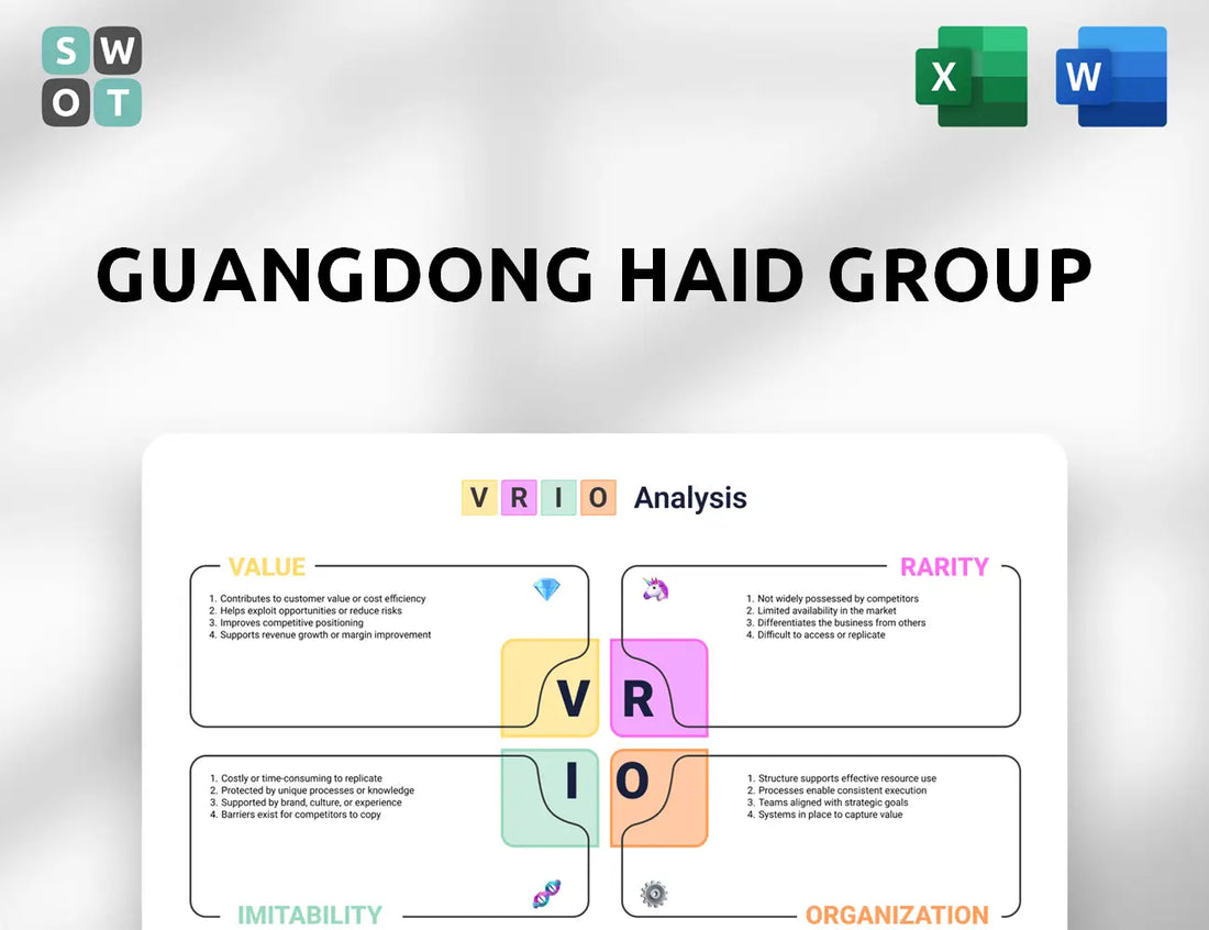 Guangdong Haid Group VRIO Analysis